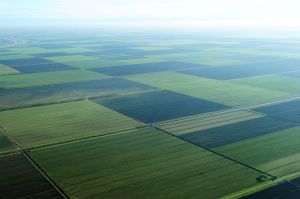 Servizio fotografico aereo campagne Emilia Romagna-fotografia aerea  bonifica Ferrarese Mezzano rilievi agrari ferrara  bonifiche  coltivazioni riso 