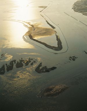 Servizio fotografico aereo nel Delta del Po-Fotografia aerea Parco del Delta del Po  Veneto foto aerea Rovigo  isola di sabbia 