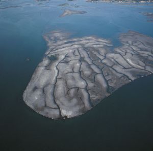 Servizio fotografico aereo nel Delta del Po veneto  -foto aerea -vista aerea -isola di sabbia Rovigo Veneto 