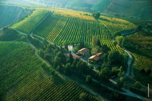 Fotografia aerea  vigneti sangiovese la Berta -colline faentine-Faenza-Ravenna-Emilia Romagna-italia-paesaggi della Romagna